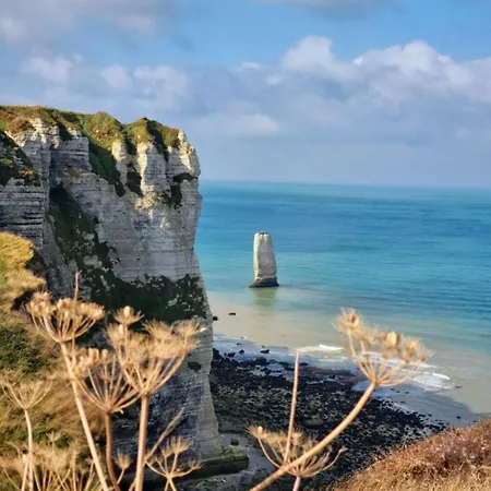 Le Bali D'etretat *